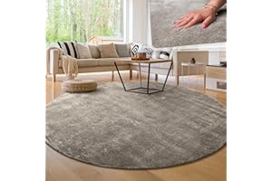 Paco Home Alfombra para la Sala de Estar Unicolor Lavable Suave Pila Corta, tamaño:Ø 200 cm Redon, Color:Gris