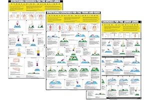 CHARTEX Stretching Exercise Posters Keep Fit Charts