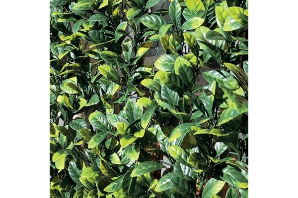 Tenax Divy 3D Plus Laurus 1,00x 3m Vert, Haie Artificielle en Feuilles de Laurier, Brise-vue Balcons et Jardins