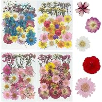 72 Fleurs Comestibles Séchées – 8 Couleurs – Viola Tricolor – Décoration Gâteaux, Cocktails, Résine – Emballage Sous Vide
