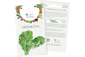 Grünkohl Samen: Premium Grünkohl Saatgut zur Anzucht von 200 Grünkohl Pflanzen – Wintergemüse Samen für Hochbeet und Garten – Samen Gemüse winterhart – Gemüse Samen – Saatgut Wintergemüse von OwnGrown