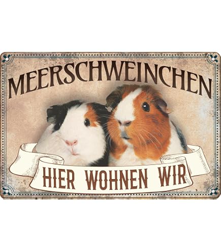 Aluminium-Schild „Willkommen In Meinem Zuhause“ Mit Meerschweinchen-Motiv – 15x20 Cm, 4 Befestigungslöcher (Made In Germany)