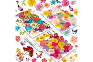 YOOTHBRO 151PCS Vraie Nature Sec Gaufré Résine Moule, Sec Gaufré [apillon Transparent Autocollant DIY Bijoux Faire Pngles Carte Scrapbooking Art Craft décoration Cute Meet