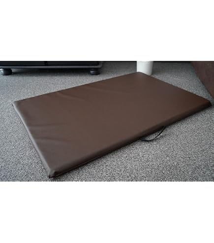 Hundebettenmanufaktur Hondenmatras, hondenbed, kunstleer, schuim, 5 cm, verschillende maten en kleuren naar keuze, 100 cm x 60 cm, mintgroen