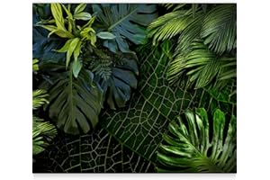 murando Papier peint intissé Feuilles Feuillage tropical Monstera 350x256 cm Décoration Murale XXL Poster Tableaux Muraux Tapisserie Photo Trompe l'oeil Ornament Nature vert b-C-0224-a-a