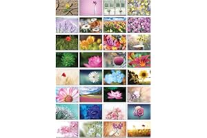 THE LAZY PANDA CARD COMPANY Nature Selection Cartes postales : 32 cartes postales différentes avec différents thèmes naturels (belles fleurs)