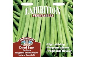 MR FOTHERGILLS Mr Fothergill's 17885 Vegetable Seeds, Dwarf French Bean The Prince