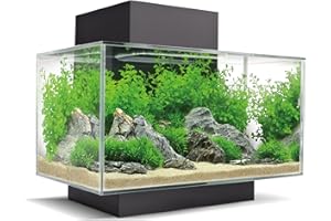Fluval 15034 Verre Edge 2.0 23l Aquarium Set, Poisson, Noir