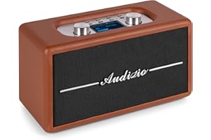 Audizio Tune60 Radio Dab+ retró portátil con Bluetooth 5.0, 40 W, reproducción USB/MicroSD, Pantalla LCD 2,4”, Alarma y Temporizador – Estilo Vintage para hogar y Exterior