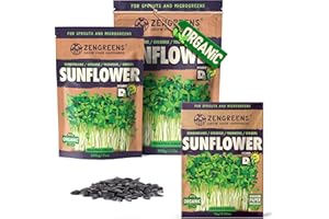 ZenGreens® - Organic Sunflower Sprouting Seeds - Choose Between 10g, 200g and 500g - Sunflower Seeds with a Germination Rate of Over 97% - Microgreens - Sprouts