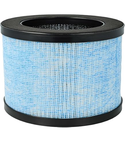 Asheviller Filtro di ricambio True HEPA DH-JH01, compatibile con purificatore d'aria AROEVE e Kloudi DH-JH01, Intelabe EPI080/EP1080 ed Elechomes EPI081/EP1081, confezione da 2