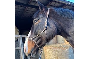 PFERDELINIS Licol à nœuds pour travail au sol pour cheval - Licol à nœuds Cob optimal pour travail libre, travail au sol, entraînement au guidage ou au chargement (Pony, Brun-Beige)