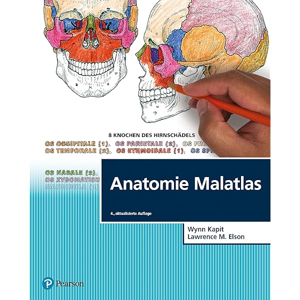 Sobotta Malbuch Anatomie : Kretz, Oliver, Keller, Holger: Amazon