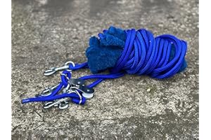 Equipride Pessoa Based Horse Training Aid Lunging System