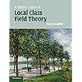 A Gentle Course in Local Class Field Theory: Local Number Fields, Brauer Groups, Galois Cohomology