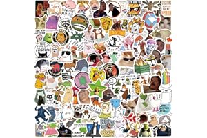KEULABLEN 100Pcs Funny Meme Stickers, Fashion Decals Graffiti Colorful Waterproof Vinyl Stickers for Laptop Skateboard, Teens and Adults