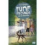 Funf Freunde Im Nebel Einzelbande Band 17 Amazon De Blyton Enid Raidt Gerda Mooshammer Lohrer Marita Bucher