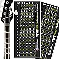5 String Bass Guitar Fretboard Note Map Decals/Stickers