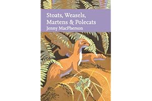Stoats, Weasels, Martens and Polecats (Collins New Naturalist Library)