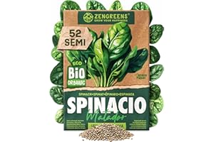 ZenGreens® Semi di spinacio biologico - Semi di verdure per la coltivazione in giardino, sul balcone o in un'aiuola rialzata - Sementi di ortaggi - Matador