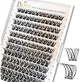 BEFER BEAUTY Lash Clusters, 144 Pcs D Curl Eyelash Clusters Volume Individual Lashes Extensions 10-16MM Fluffy Cluster Eyelash Wispy Cluster Lashes DIY At Home(Radiance,FD03)