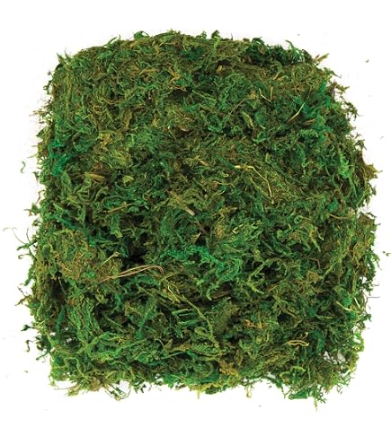Muschio Artificiale Per Decorazioni 200g – Finto Muschio Naturale, Morbido E Colorato, Per Terrari, Diorami, Composizioni Pasquali E Fai Da Te