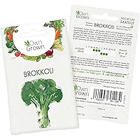 OwnGrown Premium Brokkoli Samen (Brassica oleracea), Brokkolisamen zum Anbauen, Saatgut für rund 20 Brokkoli Pflanzen