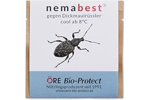 nemabest® cool HB+SF Nematoden zur Bekämpfung des Dickmaulrüsslers - 6 Mio. für 12m²
