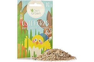 Ostergras Grün Samen zum Dekorieren und Begrünen - 10g Schönes Ostergras für die Anzucht auf Fensterbank, Balkon, in Topf und Schale - Katzengras Samen - Premium Pflanzensamen OwnGrown