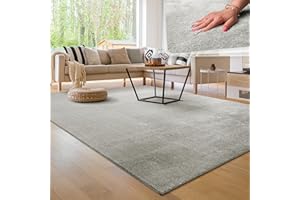 Paco Home Tappeto Moderno e Morbido per Soggiorno a Pelo Corto Lavabile Fluffy Uni Effetto Pelliccia Senza Tempo Elegante Antiscivolo Facile da Pulire, Dimensione:160x220 cm, Colore:Argento