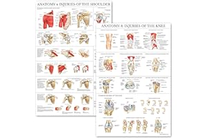 Palace Learning 2 Pack - Anatomy and Injuries of The Knee & Shoulder Poster Set - Anatomical Chart Set - Laminated 18" x 24"