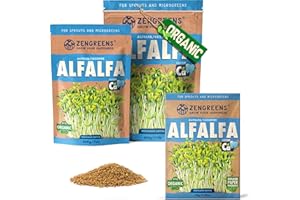 ZenGreens® - Organic Alfalfa Sprouting Seeds - Choose Between 10g, 200g and 500g - Alfalfa Seeds with a Germination Rate of Over 97% - Microgreens - Sprouts