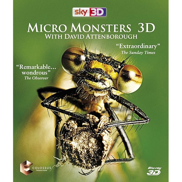 BBC ライフ・イン・ザ・アンダーグロウス/昆虫の世界 DVD-BOX: Amazon