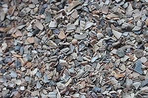 LanDixx Muschelkalk 5 kg für Hühner Muschelschrot Muschelgrit Geflügelgrit Kalk Ostrea Legehenne