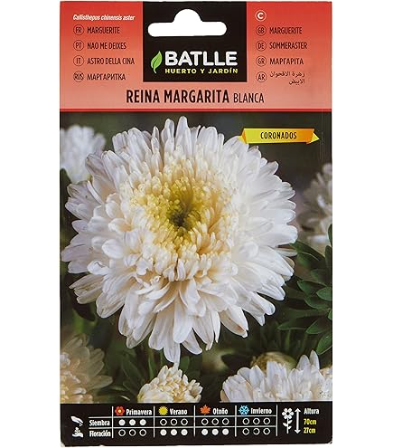 Aster Zaden Kopen, American Branching Mix