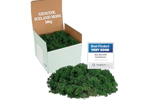 Mia Milano Mousse Naturelle décorative, pour Les crèche et Le Bricolage, en Plaque, réutilisable (Vert foncé, 500g)