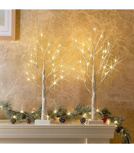 EAMBRITE Illuminazione decorativa per casa, con rami di betulla bianchi a 60 luci LED, per esterni, splendida decorazione per Natale, Pasqua, Halloween, feste