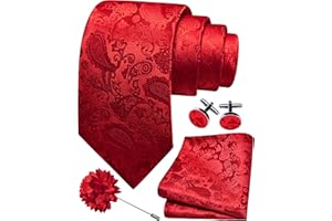 Gusleson 3.15"（8cm） Mens Paisley Tie and Lapel Pin Necktie Hankerchief Cufflinks Set for Men