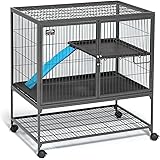 critter nation single