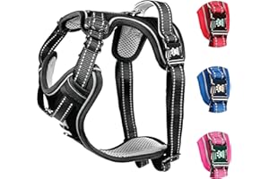 Elite Paws® UK: Premium Metal Buckle Dog Harness, Strong, Safe, Padded, Comfortable, Adjustable, Reflective, Front/Back Lead Attachments, Soft Handle, Pet Walking Vest/Training Product (Black, Medium)