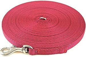CHURCH PRODUCTS UK Puppy Training Lead Small Dog Recall Obedience Training Leash 10ft (3m) in 13mm Strong Webbing in (Burgundy)