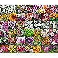 Agrey combo of 40 variety flower seeds with instruction manual.