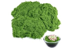 Draupnir Musgo verde falso para plantas de interior, musgo falso de 5.3 onzas para manualidades, preservado para bricolaje, decoración de centros de mesa, decoración de jardín de hadas, flores de boda