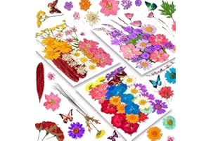 YoothBro 125 piezas de flores prensadas secas reales para moldes de resina, juego de flores prensadas en seco con pegatinas de mariposa para la fabricación de joyas DIY, tarjetas de uñas Romantic Road