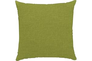chilly pilley Coussins Décoratifs Coussins De Canapé Petits Coussins De Jardin 2X 50x50 cm Vert