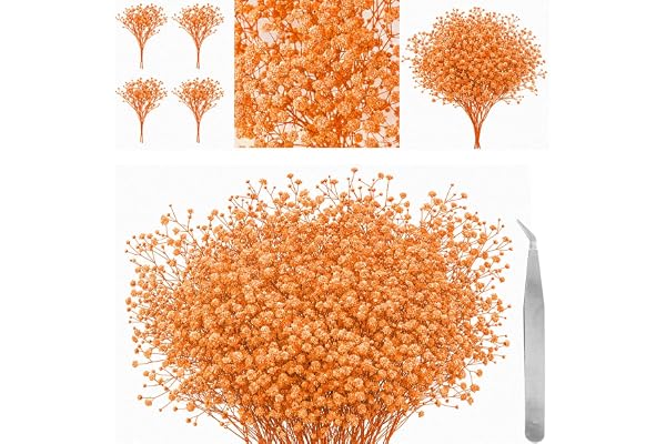 60 stycken Torkade pressade brudslöja blommor med pincett, Äkta naturlig gypsophila torkade blommor för harts, DIY-hantverk, korttillverkning, bröllopskort och tårtor