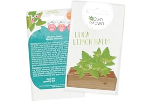 Grow Your Own Lemon Balm Seed: Premium Lemon Balm Seeds for Kids and Adults – Kids Gardening Seeds for 200 Lemon Balm Plants – Herb Seeds for Kids – Childrens Seeds for Gardening Herbs by OwnGrown