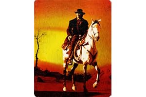 Red Sun (Cult Classics) SteelBook [Blu-ray] [Region A & B & C]