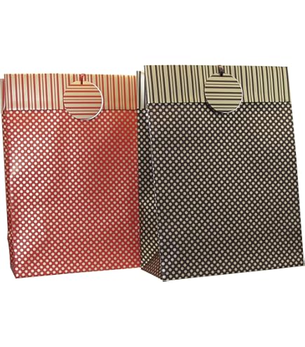 Eurowrap 32469-3C - Un Sac Cadeau Excellia- Format Moyen - 21