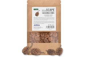 ARKA mySCAPE-Conos de Casuarina - 50 Piezas - Acondicionadores Naturales del Agua, Crean Condiciones Tropicales en acuarios de Agua Dulce, Ideal para gambas.